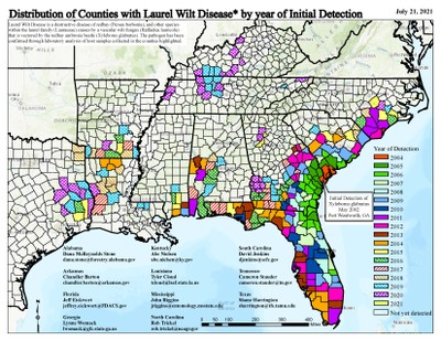 Laurel wilt distribution