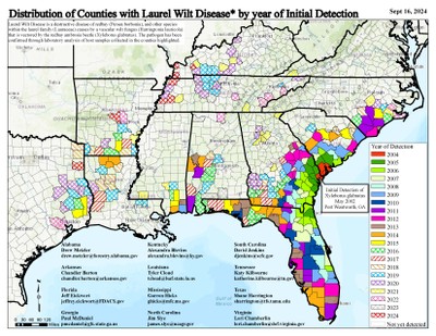 LWD distribution 