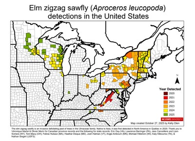 EZS US_oct2025 EZS US_oct2025